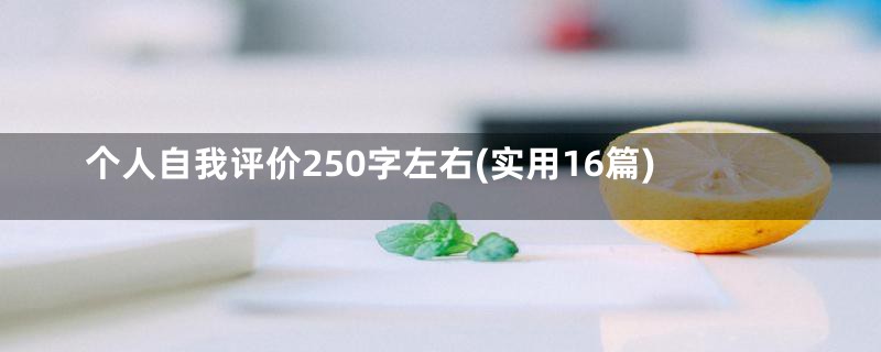 个人自我评价250字左右(实用16篇)