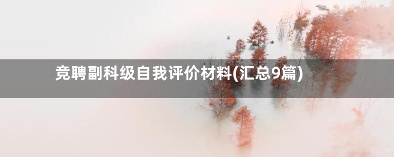 竞聘副科级自我评价材料(汇总9篇)