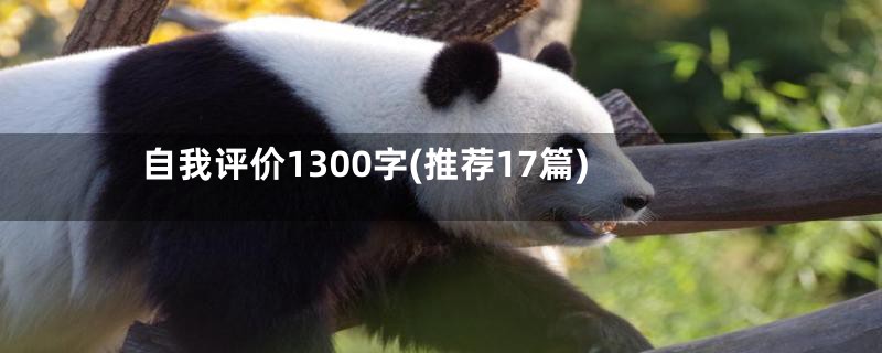 自我评价1300字(推荐17篇)