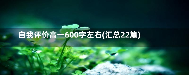 自我评价高一600字左右(汇总22篇)