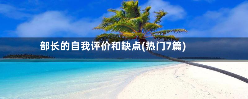 部长的自我评价和缺点(热门7篇)