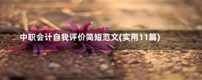 中职会计自我评价简短范文(实用11篇)