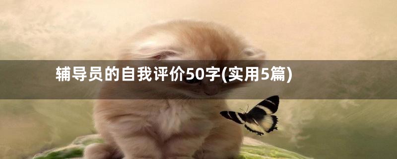 辅导员的自我评价50字(实用5篇)