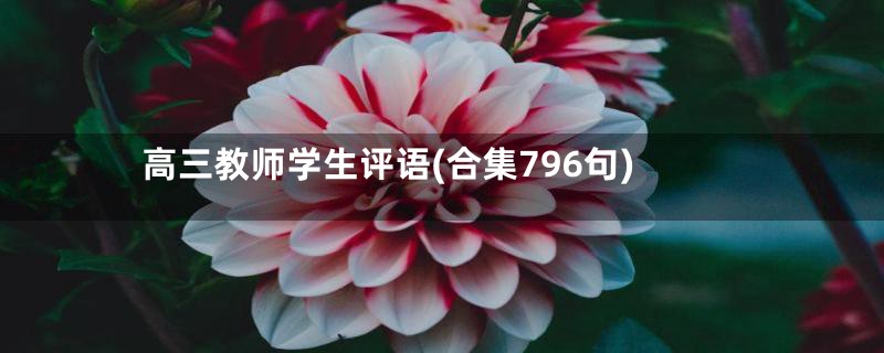 高三教师学生评语(合集796句)