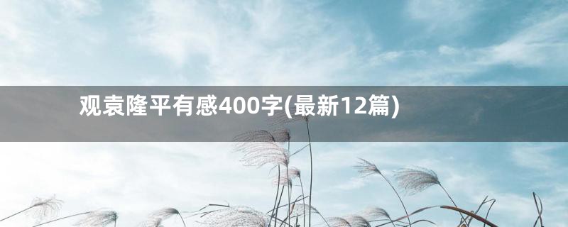 观袁隆平有感400字(最新12篇)