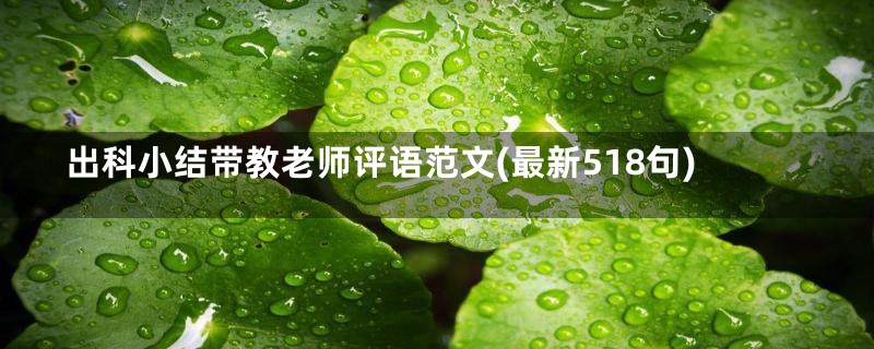 出科小结带教老师评语范文(最新518句)