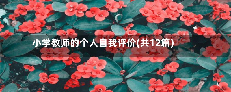 小学教师的个人自我评价(共12篇)