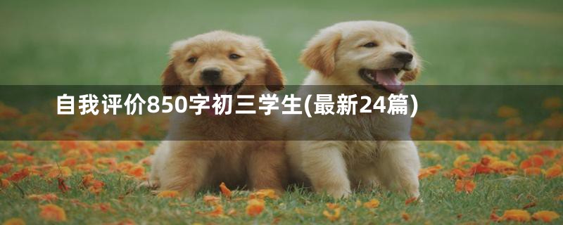 自我评价850字初三学生(最新24篇)