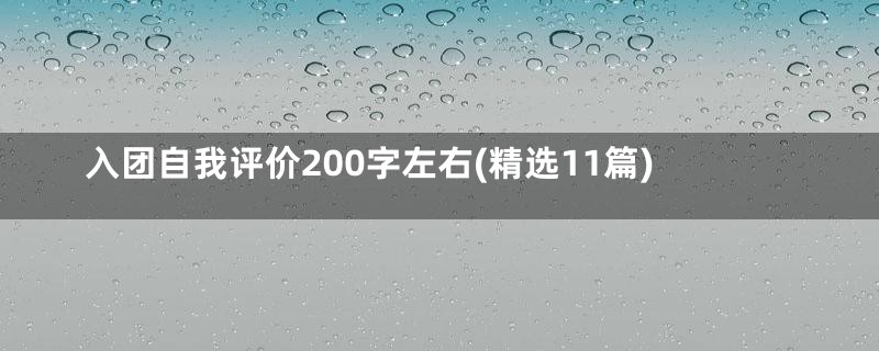 入团自我评价200字左右(精选11篇)