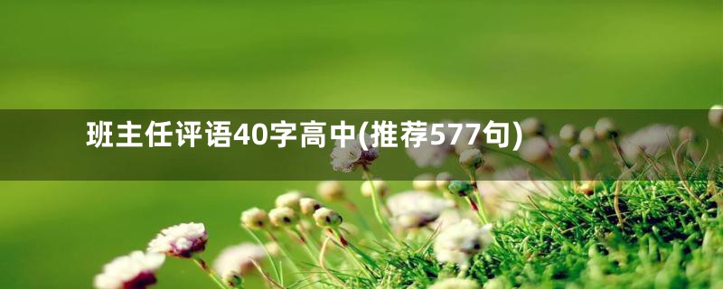 班主任评语40字高中(推荐577句)