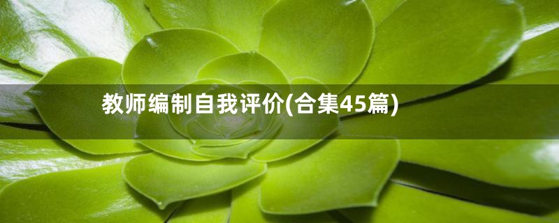 教师编制自我评价(合集45篇)