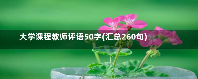 大学课程教师评语50字(汇总260句)