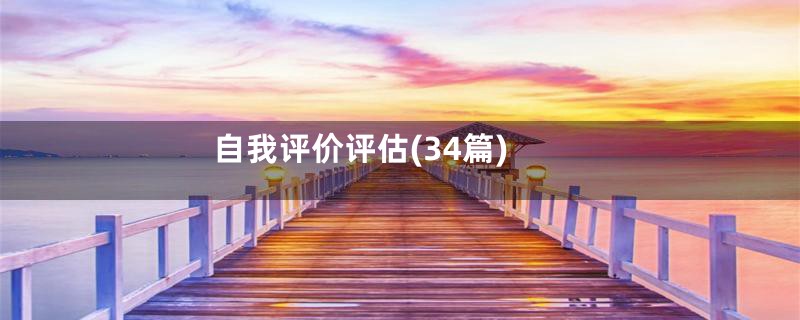 自我评价评估(34篇)