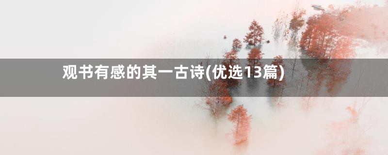 观书有感的其一古诗(优选13篇)