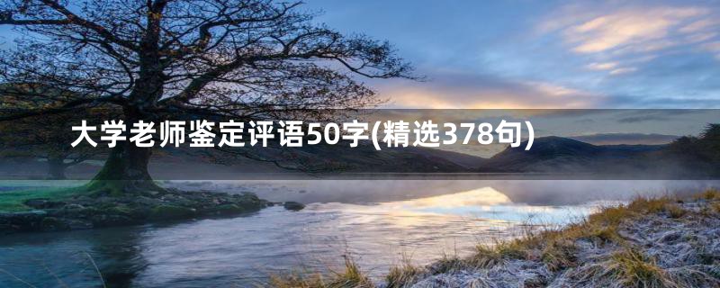 大学老师鉴定评语50字(精选378句)