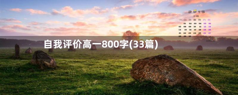 自我评价高一800字(33篇)