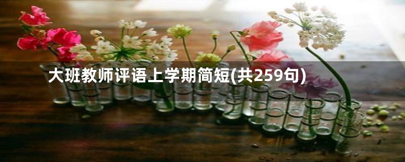 大班教师评语上学期简短(共259句)