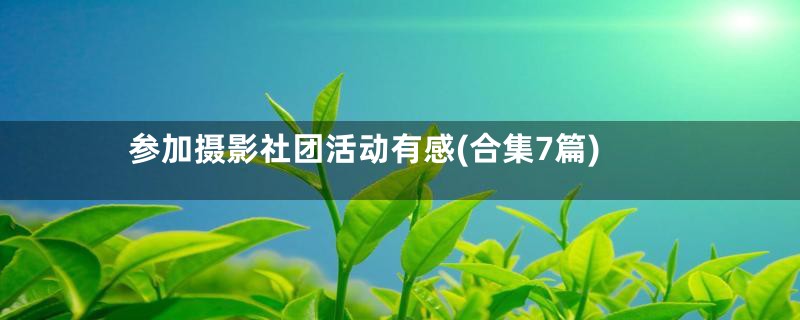 参加摄影社团活动有感(合集7篇)