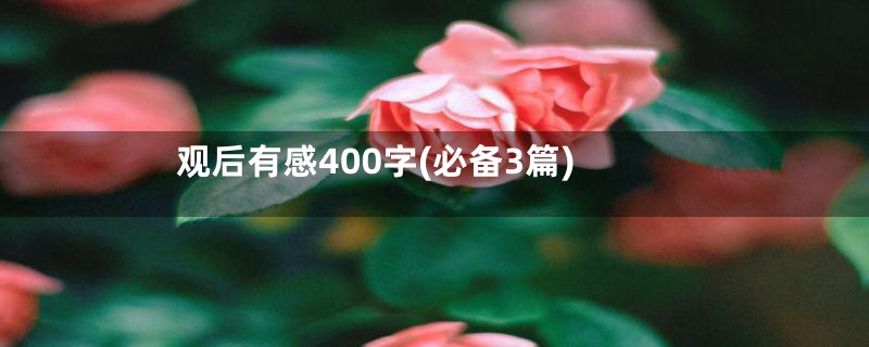 观后有感400字(必备3篇)