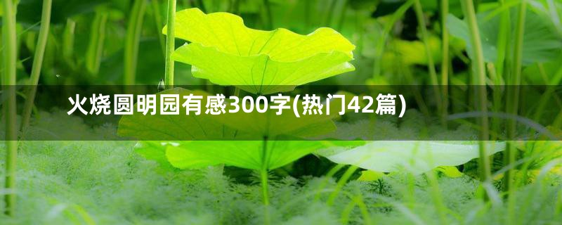 火烧圆明园有感300字(热门42篇)