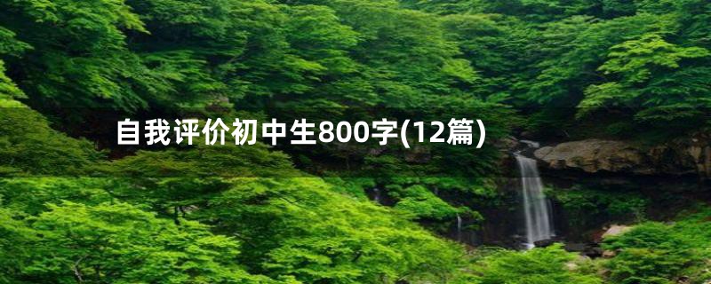 自我评价初中生800字(12篇)