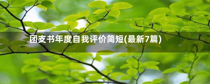 团支书年度自我评价简短(最新7篇)