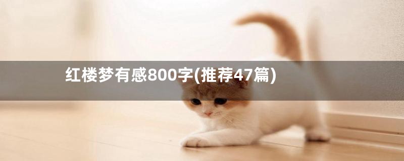 红楼梦有感800字(推荐47篇)