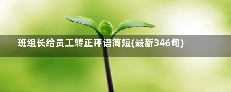 班组长给员工转正评语简短(最新346句)