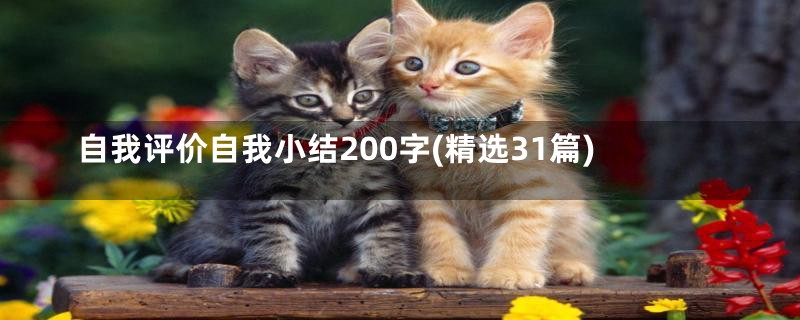 自我评价自我小结200字(精选31篇)