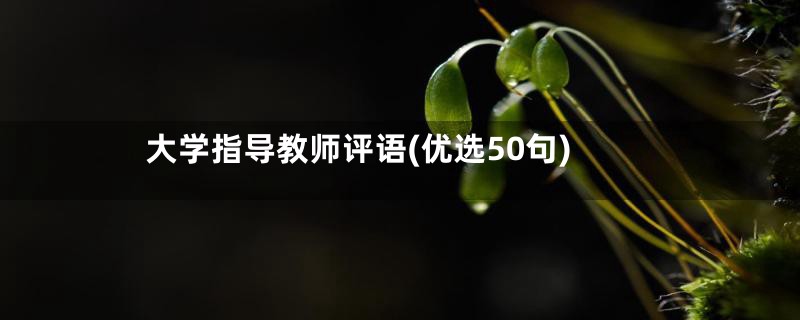 大学指导教师评语(优选50句)