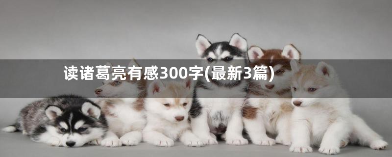 读诸葛亮有感300字(最新3篇)