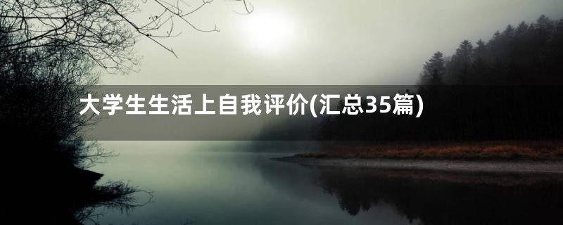 大学生生活上自我评价(汇总35篇)