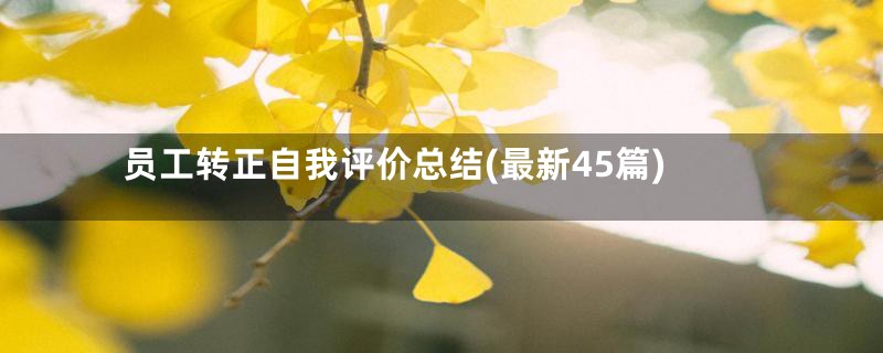 员工转正自我评价总结(最新45篇)