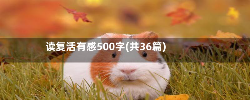 读复活有感500字(共36篇)