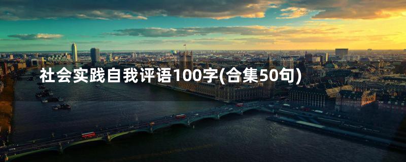 社会实践自我评语100字(合集50句)