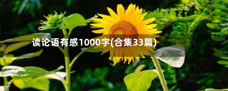 读论语有感1000字(合集33篇)