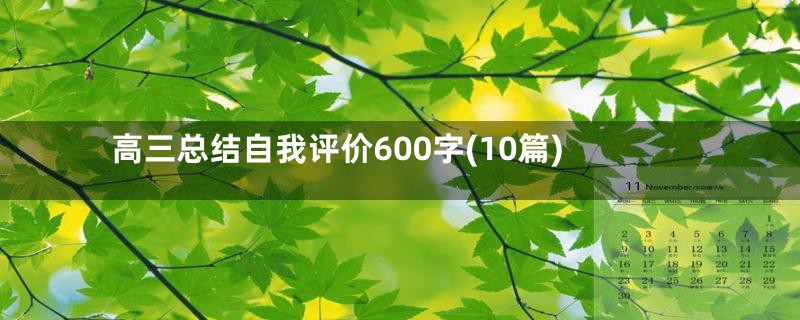 高三总结自我评价600字(10篇)