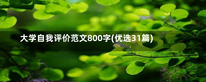 大学自我评价范文800字(优选31篇)