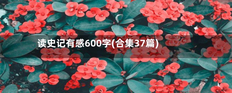 读史记有感600字(合集37篇)