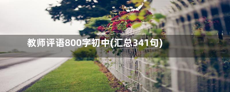 教师评语800字初中(汇总341句)