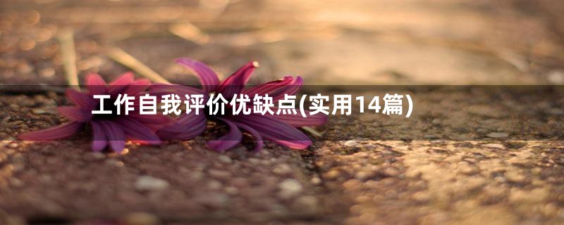 工作自我评价优缺点(实用14篇)