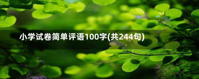 小学试卷简单评语100字(共244句)