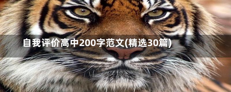 自我评价高中200字范文(精选30篇)