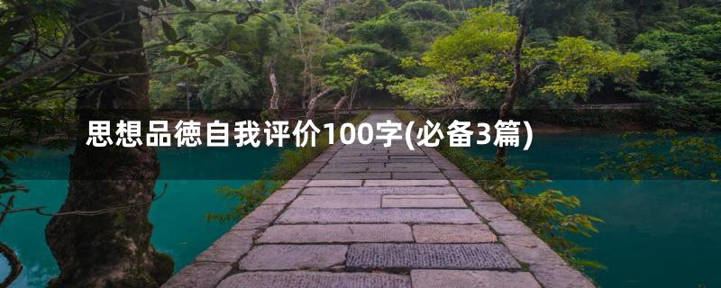 思想品徳自我评价100字(必备3篇)