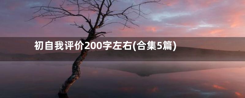 初自我评价200字左右(合集5篇)