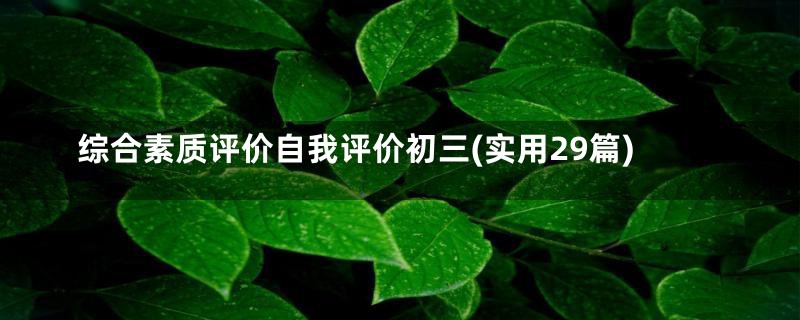 综合素质评价自我评价初三(实用29篇)