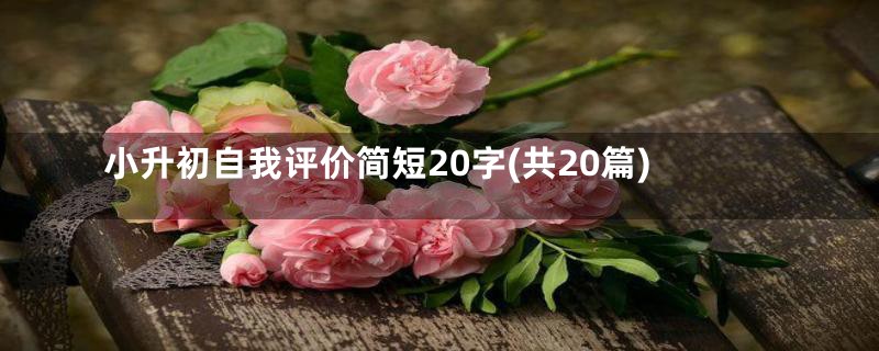 小升初自我评价简短20字(共20篇)