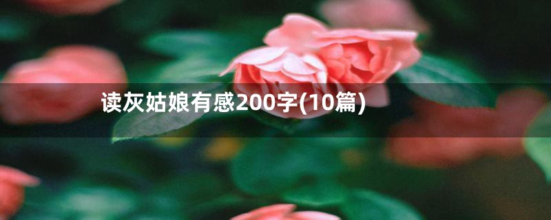 读灰姑娘有感200字(10篇)