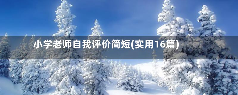 小学老师自我评价简短(实用16篇)