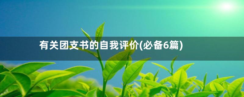 有关团支书的自我评价(必备6篇)